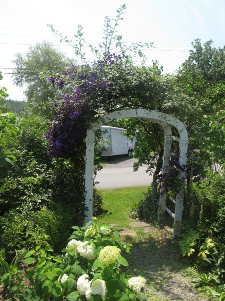 Front arch with clematis