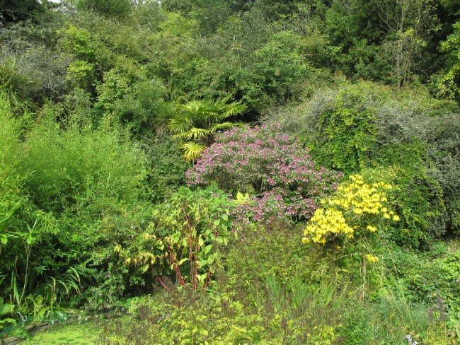 Highdown garden6