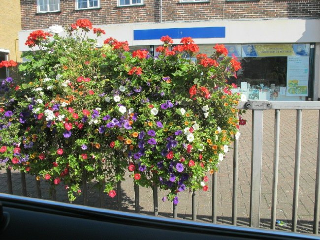 flower basket on traffic barrier