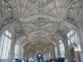 ceiling carving in the Bodleian