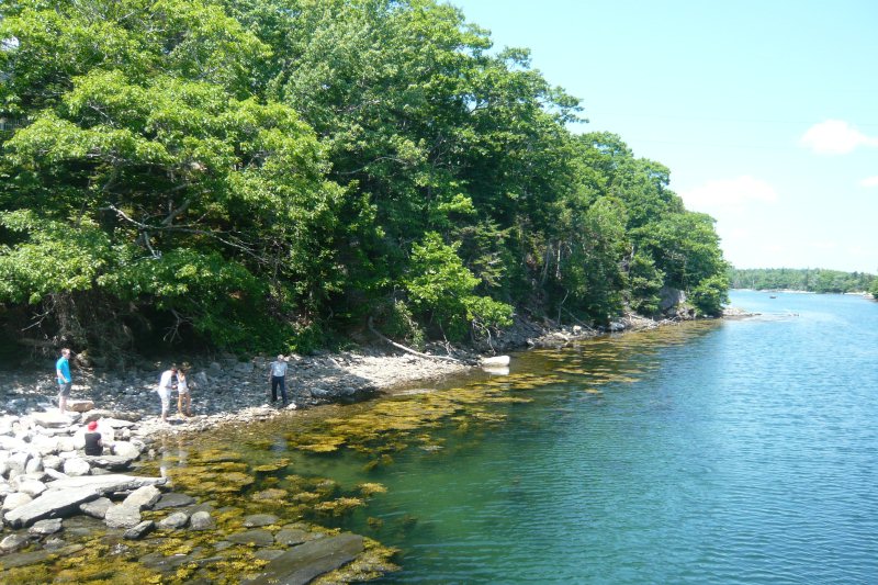 The Inlet shore