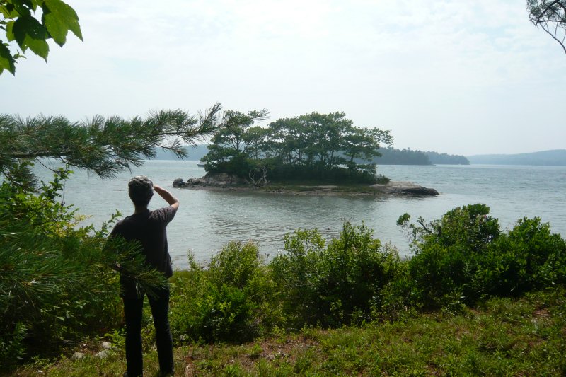 Island in Clark's Cove