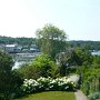 View from front porch of Anodyne House